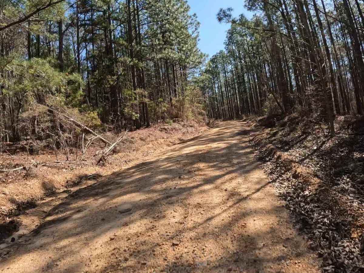 Maud Road - FS 423 trail photo