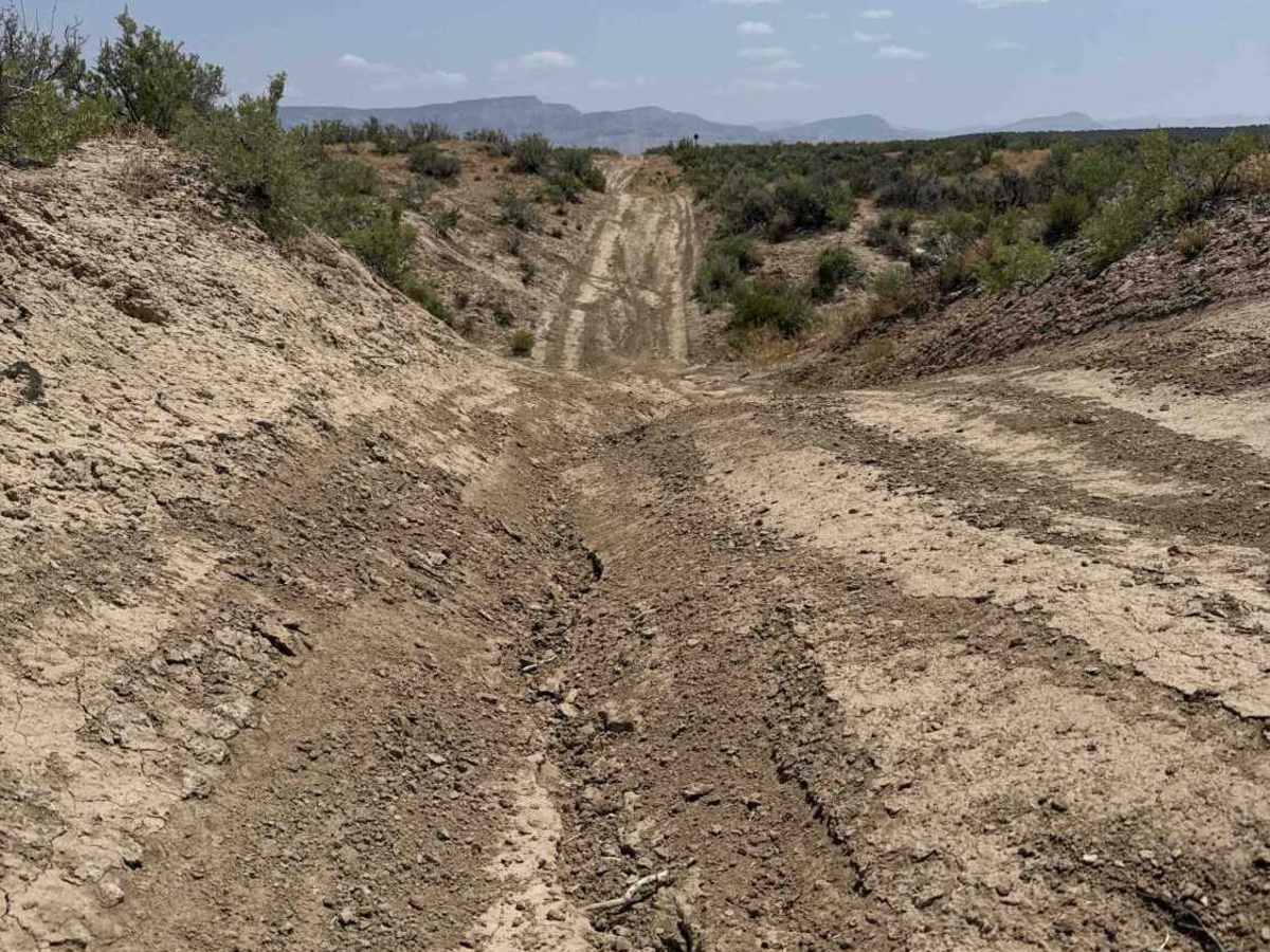 BLM 128 photo 2