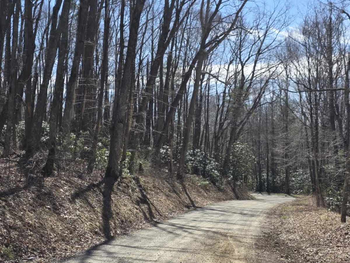 Walnut Mountain Road trail photo