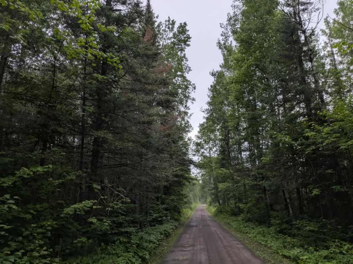 Lake Clara Spur F trail photo