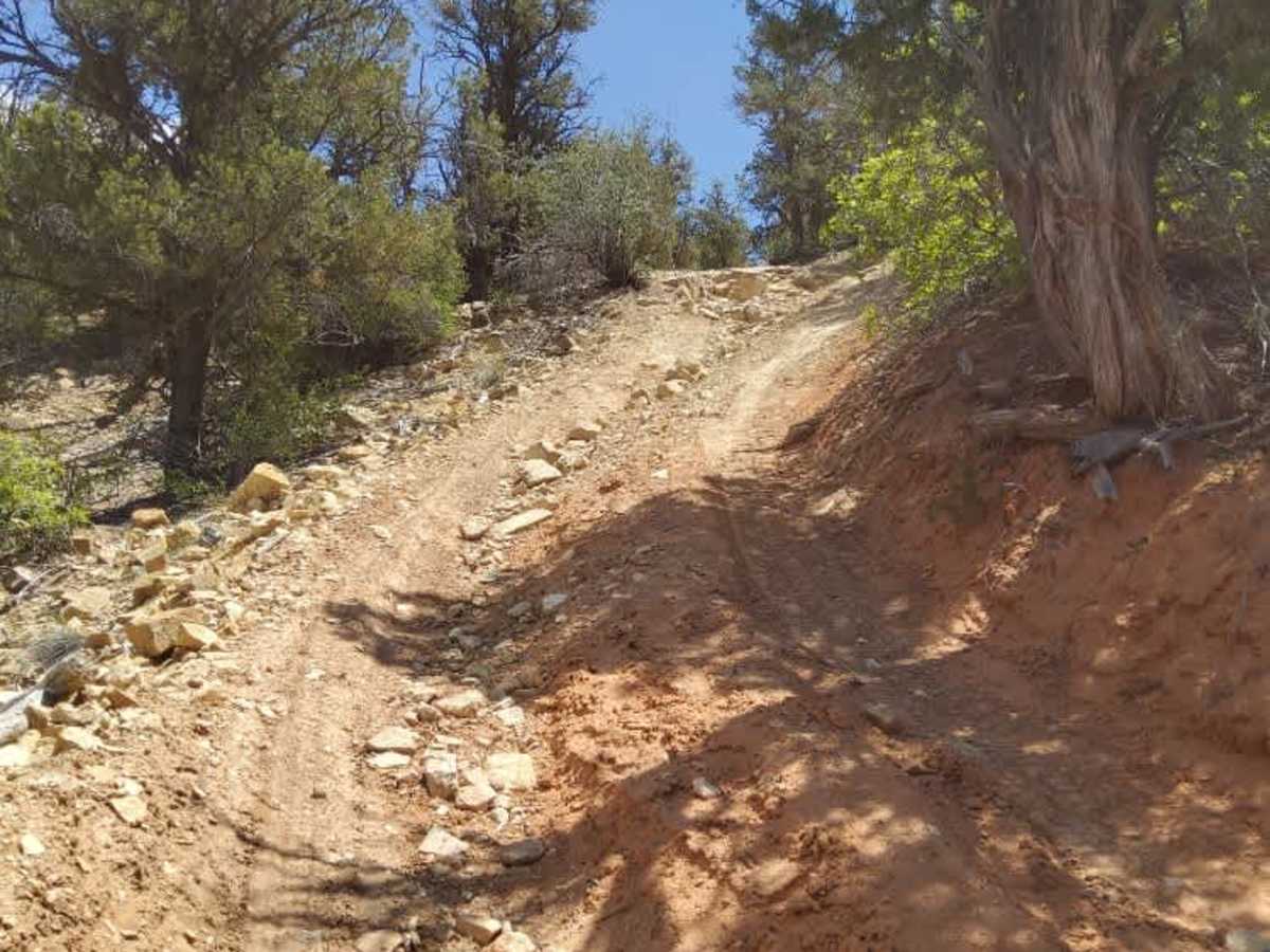 BLM 106Y trail photo