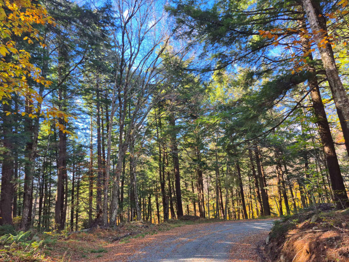 West River Road photo 6
