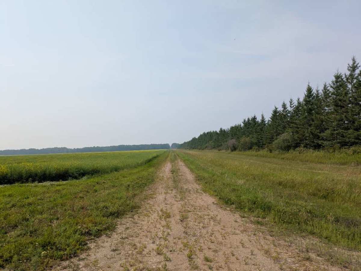 Loberg Road photo 5