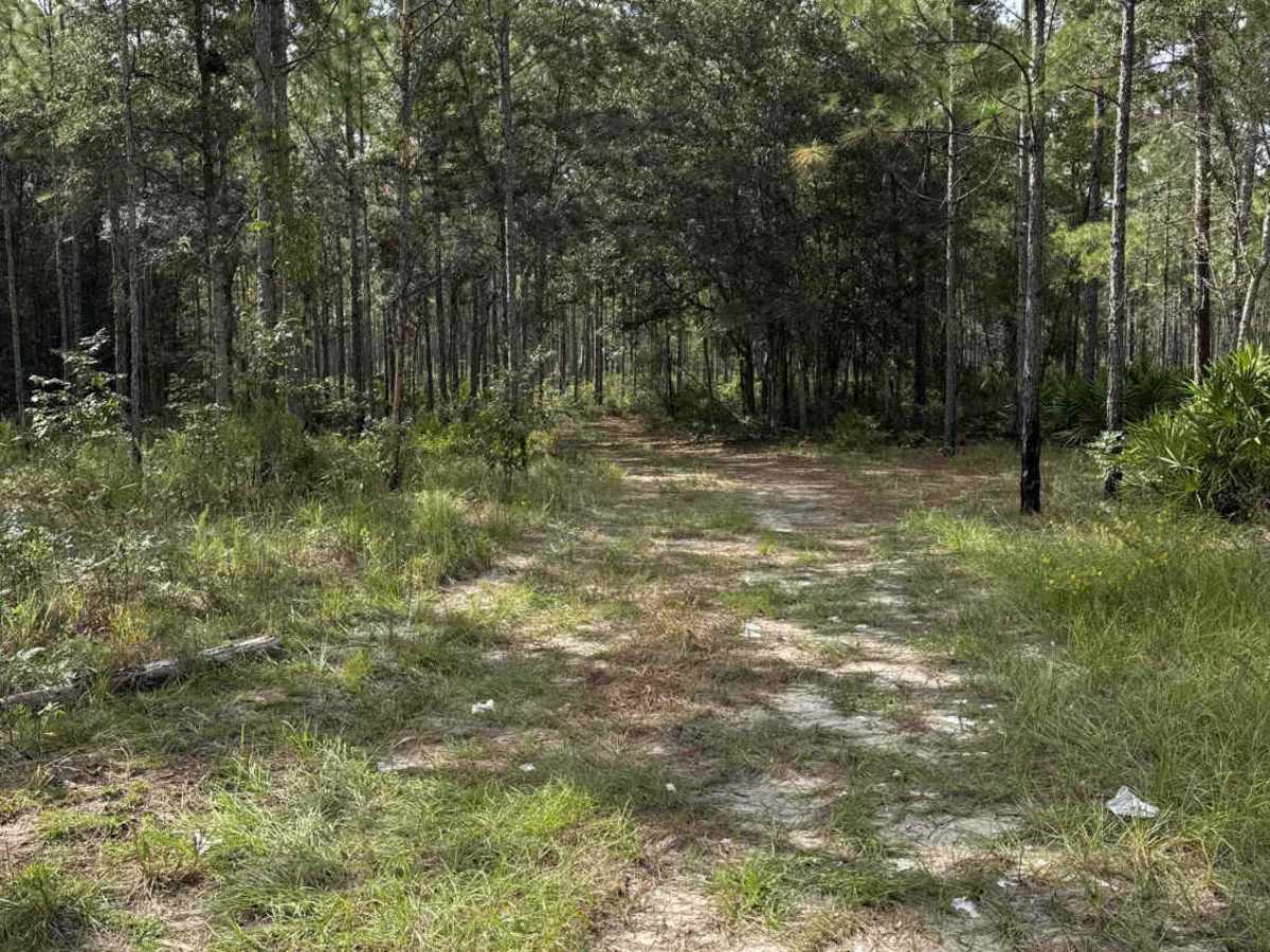 North Creek Road photo 4