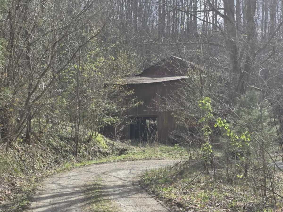 Sugarloaf Mountain Road photo 3