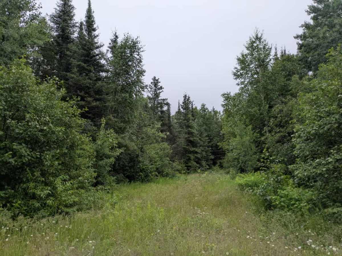 Sawbill Trail photo 6