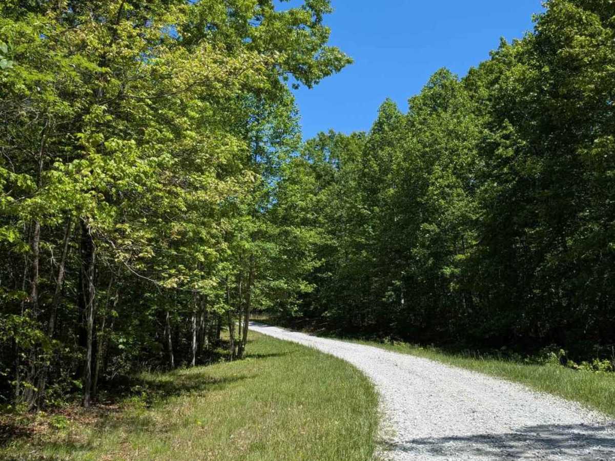 Bear Hollow Road photo 3