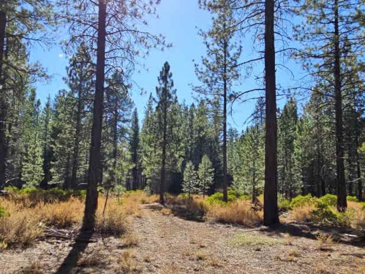 FS 32N95Y trail photo
