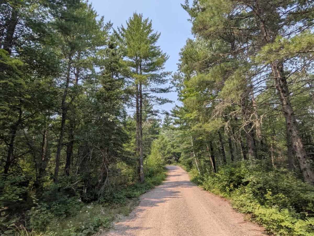 Hanson Lake Road trail photo