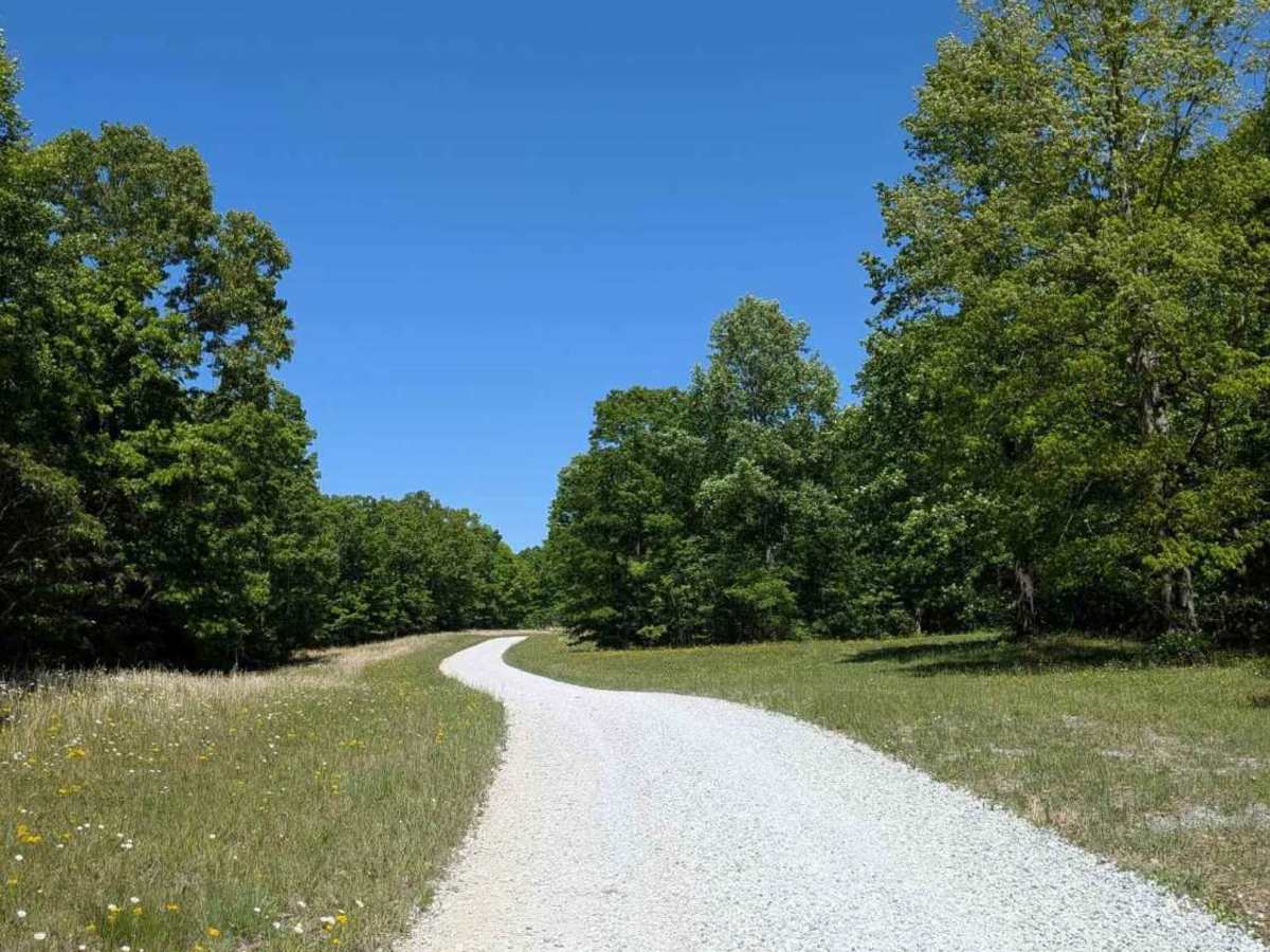 Poplar Springs Road photo 5