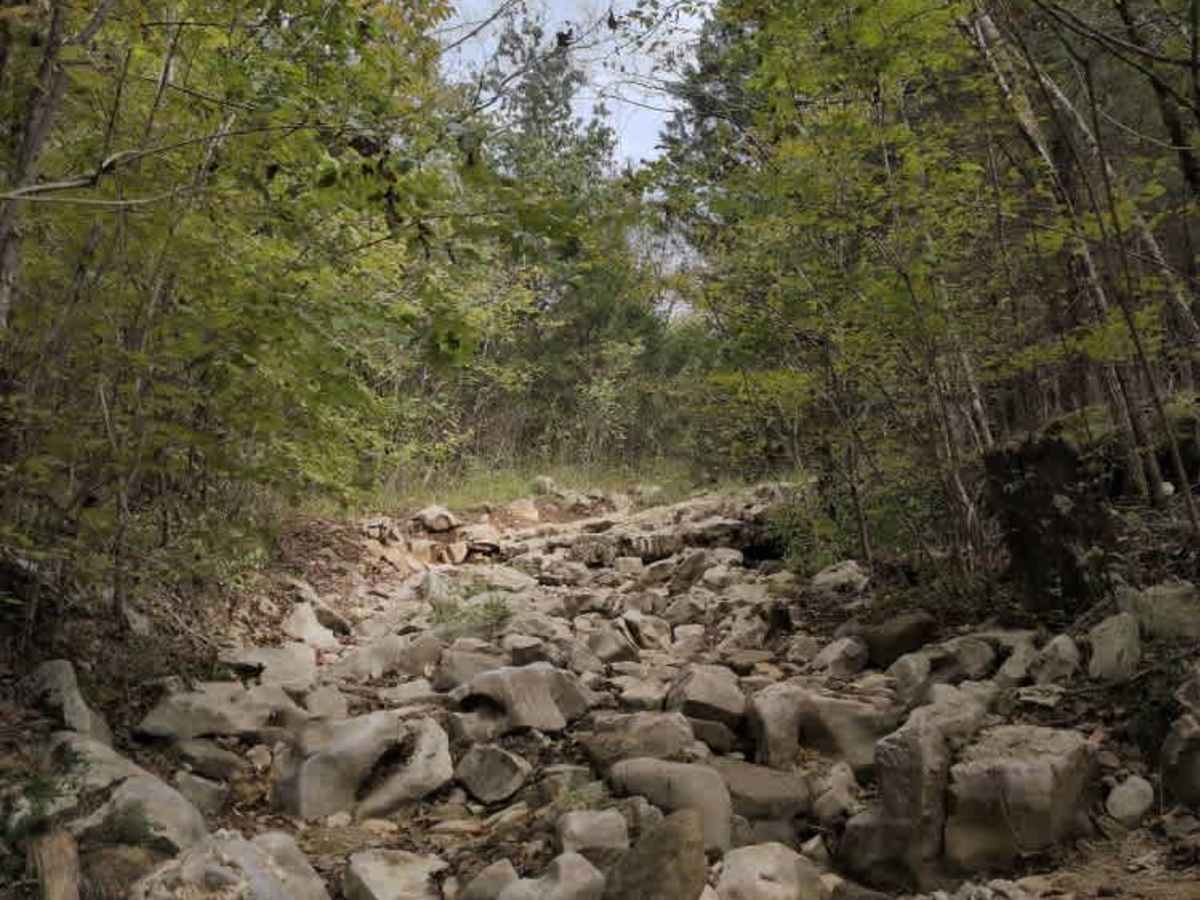 #57 Ol' No. 22 trail photo