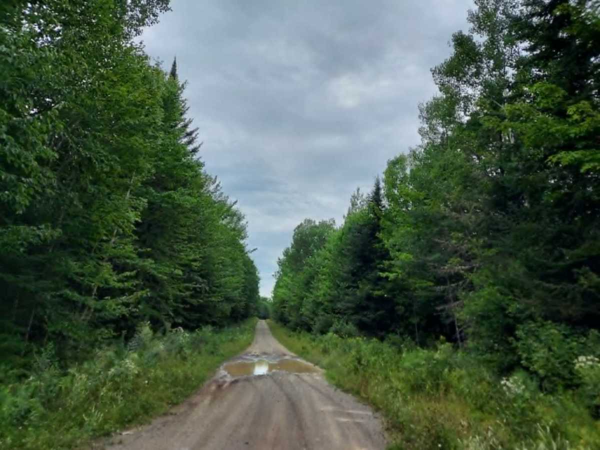 Bear Brook Road photo 5