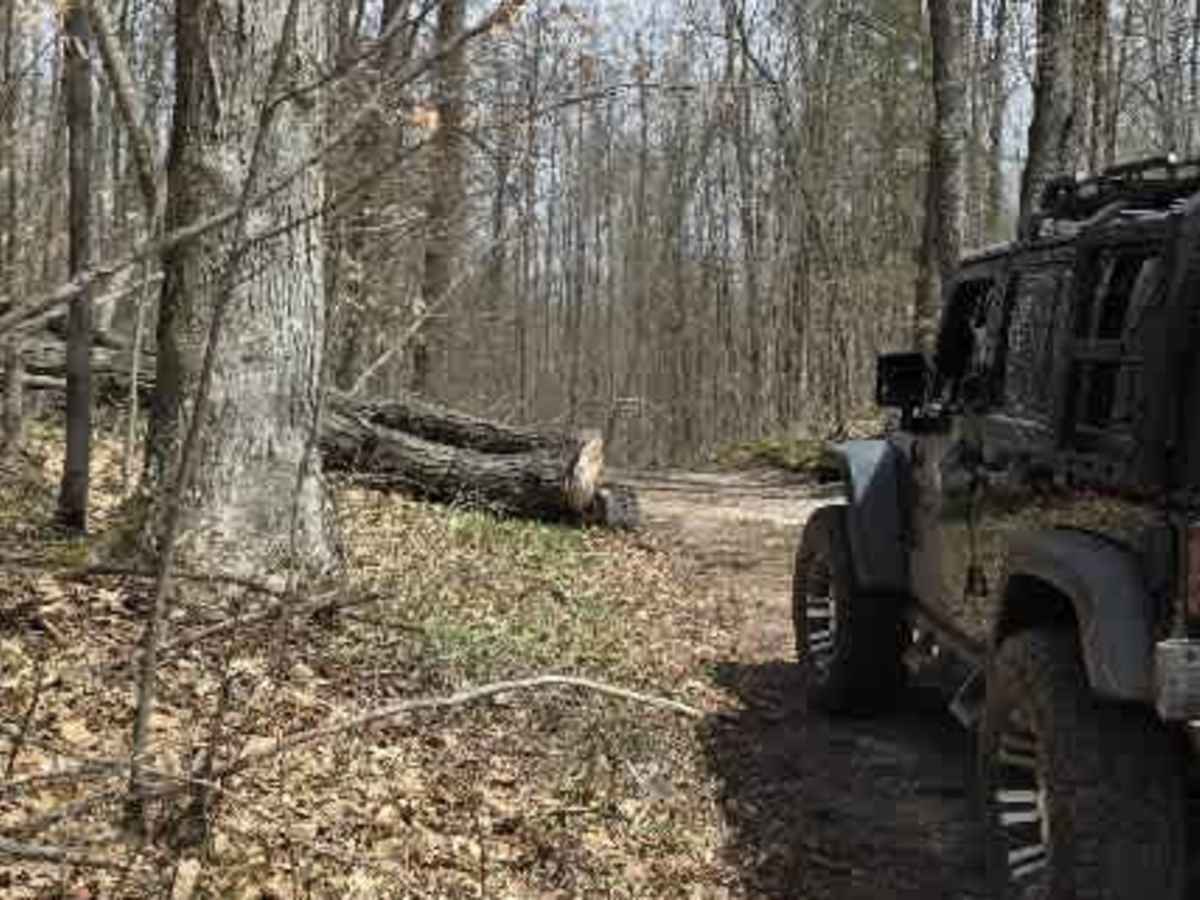 Natural Dam Trail photo 2