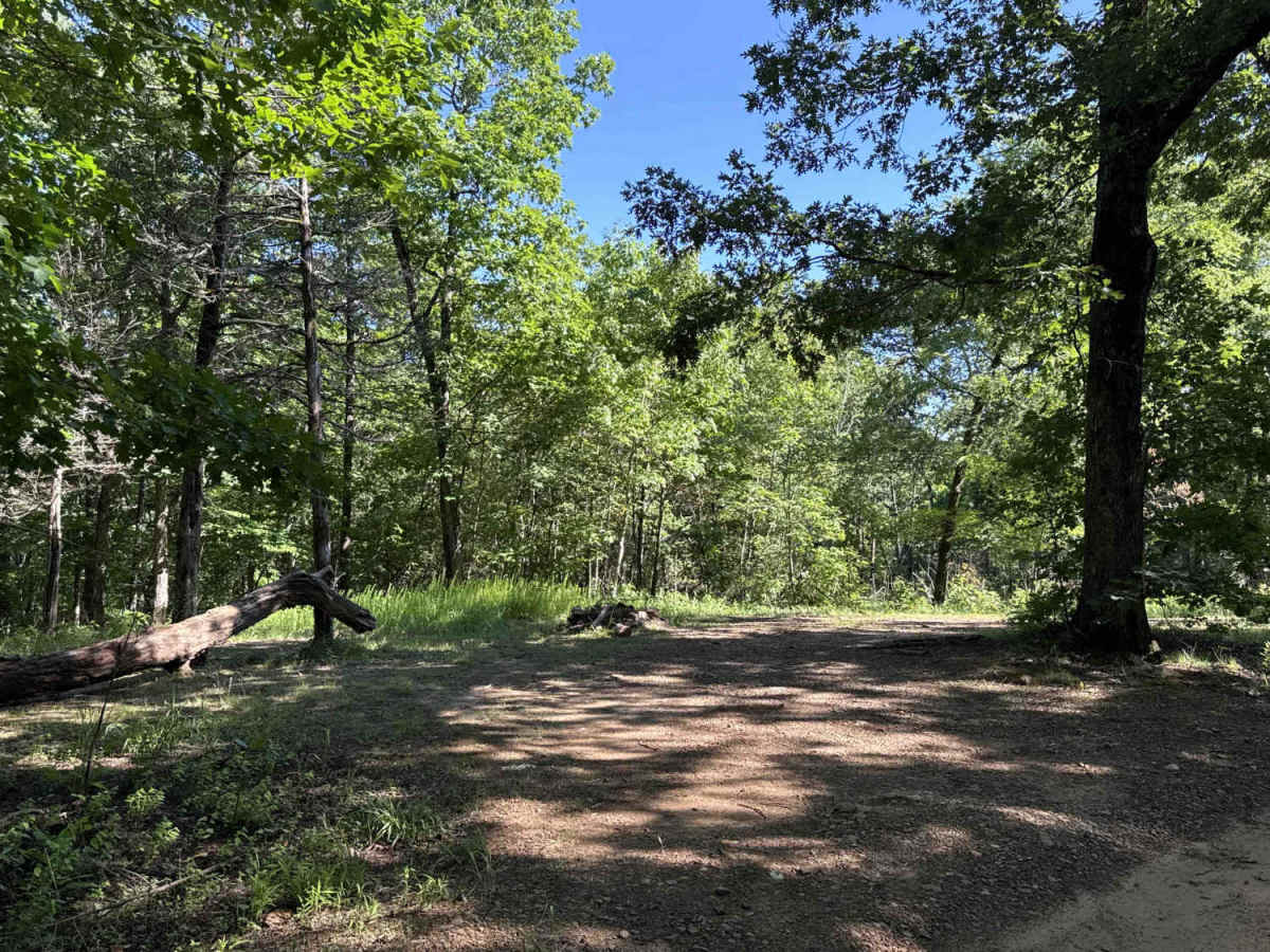 Cove Creek Crossing  photo 6