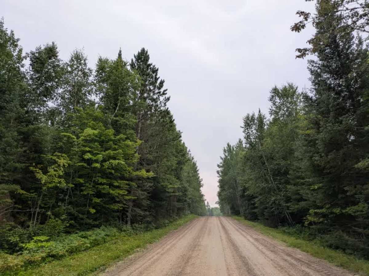 Nelson Road trail photo
