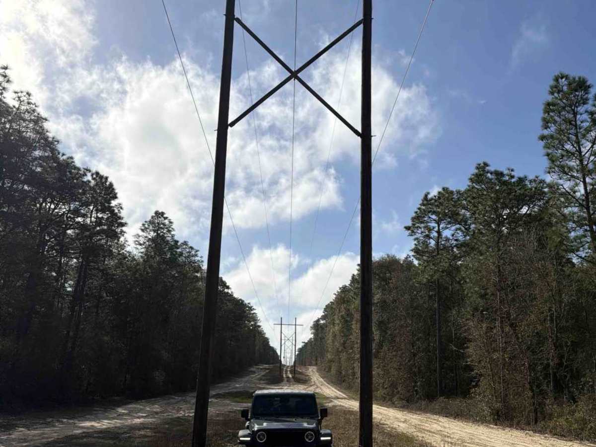 Powerline West - FS 300-A photo 4