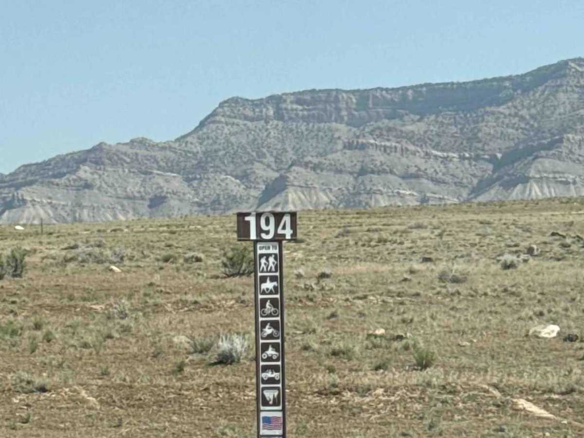 BLM 194 photo 4