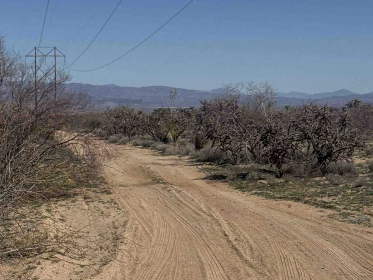 Ss1012 photo 2