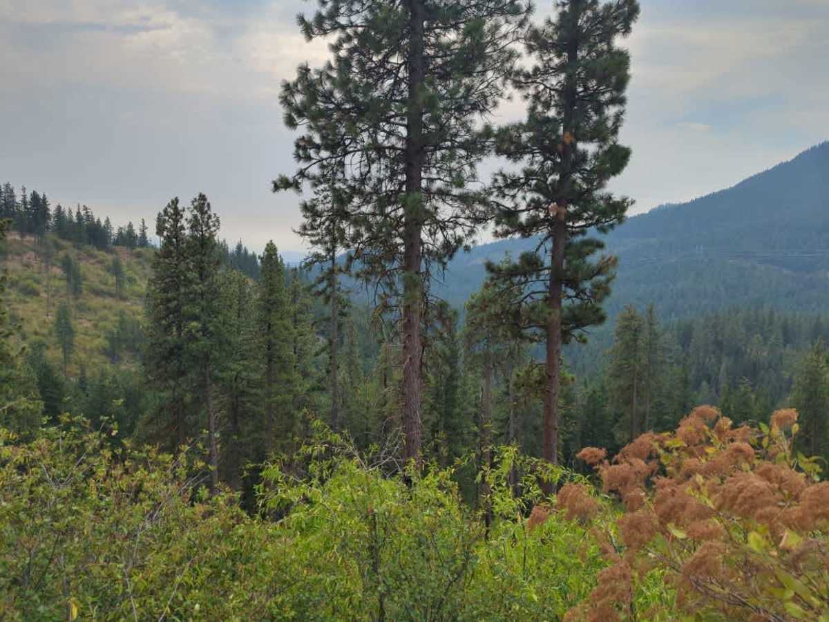 Pobst Canyon photo 3