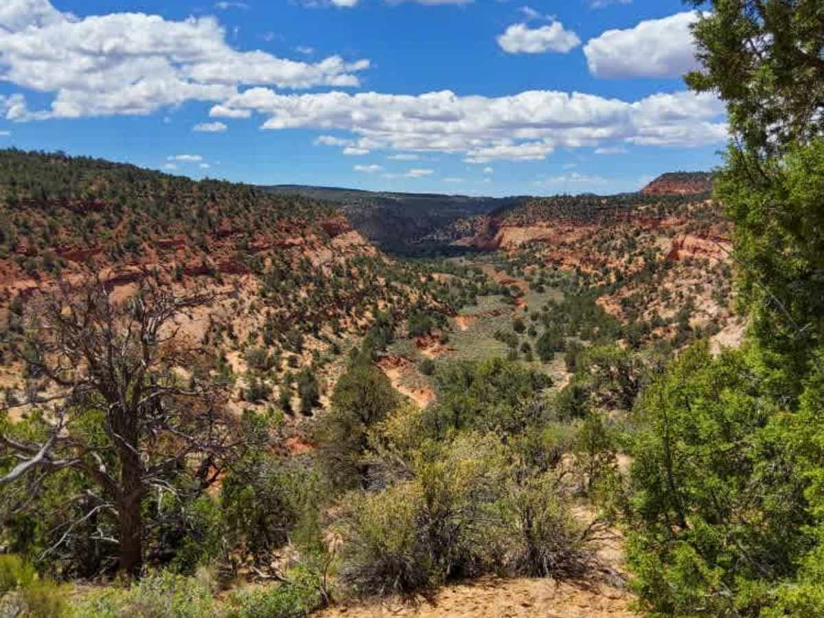 BLM 101G trail photo