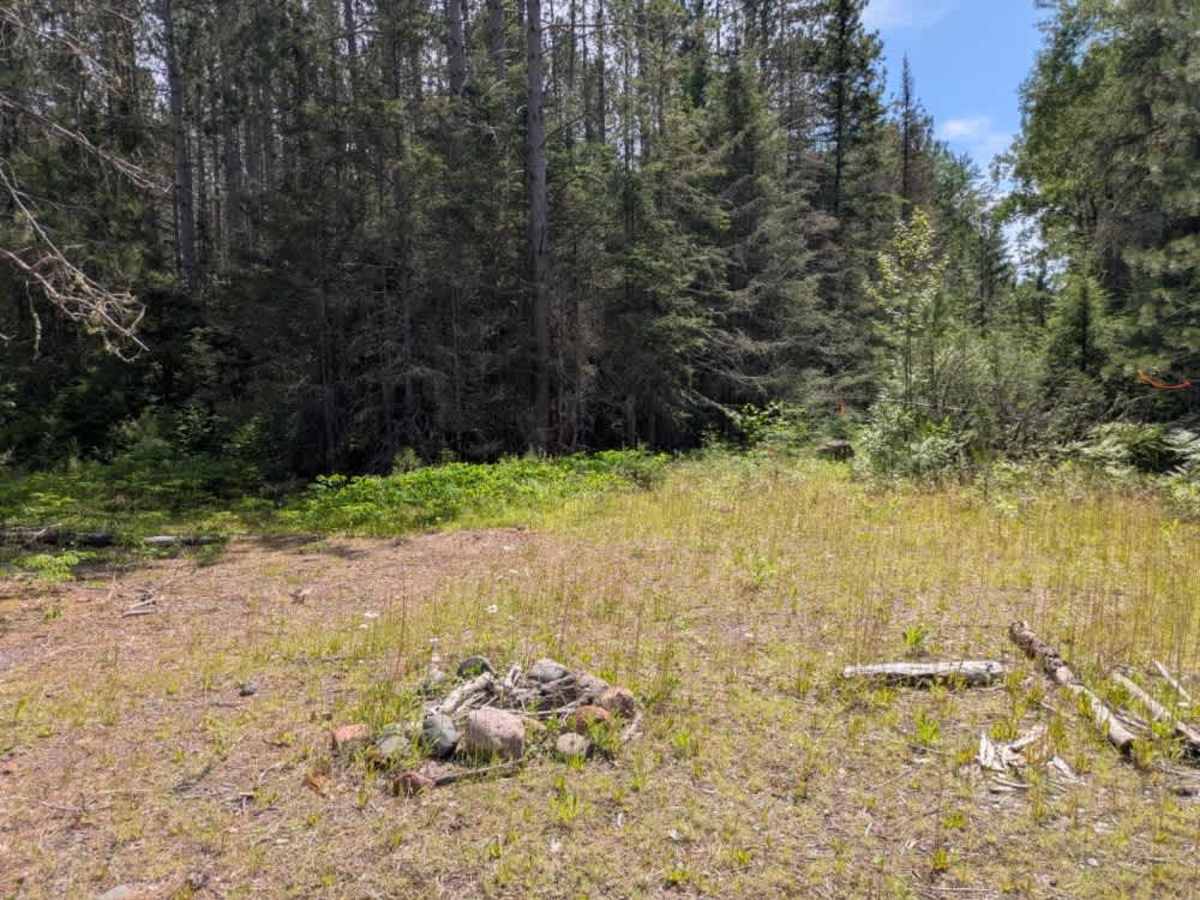 Forest Service Road 406 photo 5