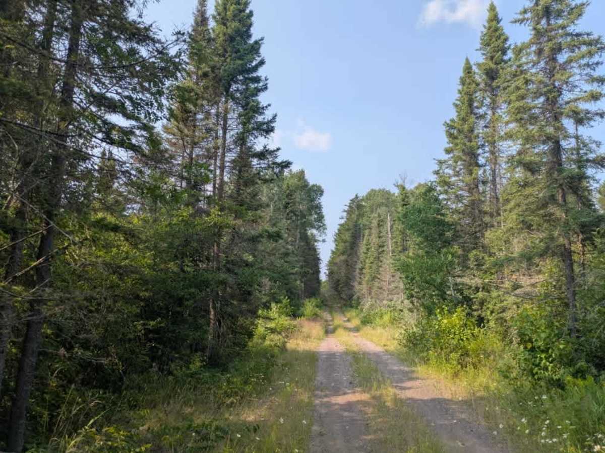 Plum Lake photo 3
