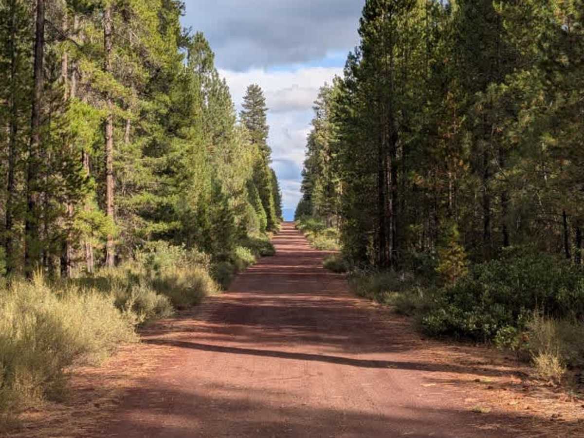 FS 4250000, Oregon | Off-Road Trail Maps, Difficulty, Trail Status ...
