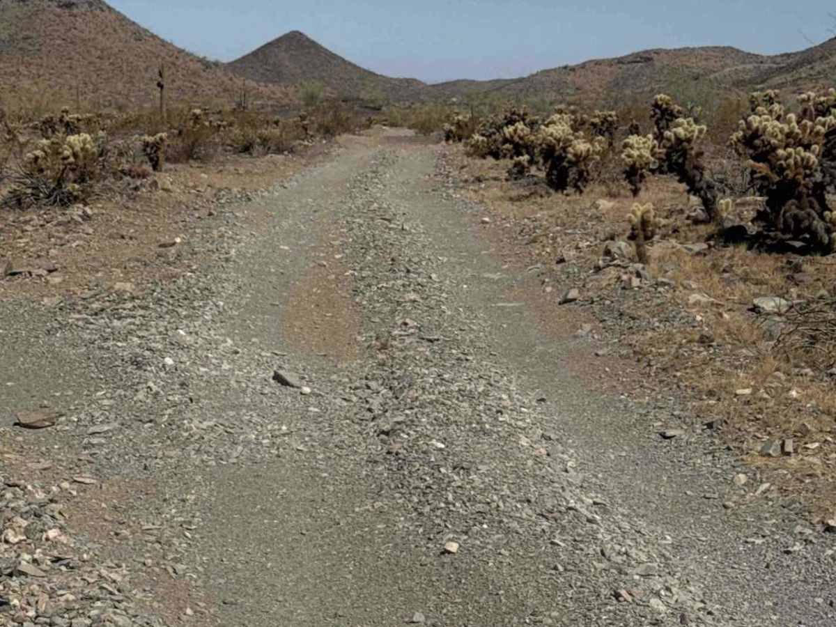 Cholla Ridge  photo 6