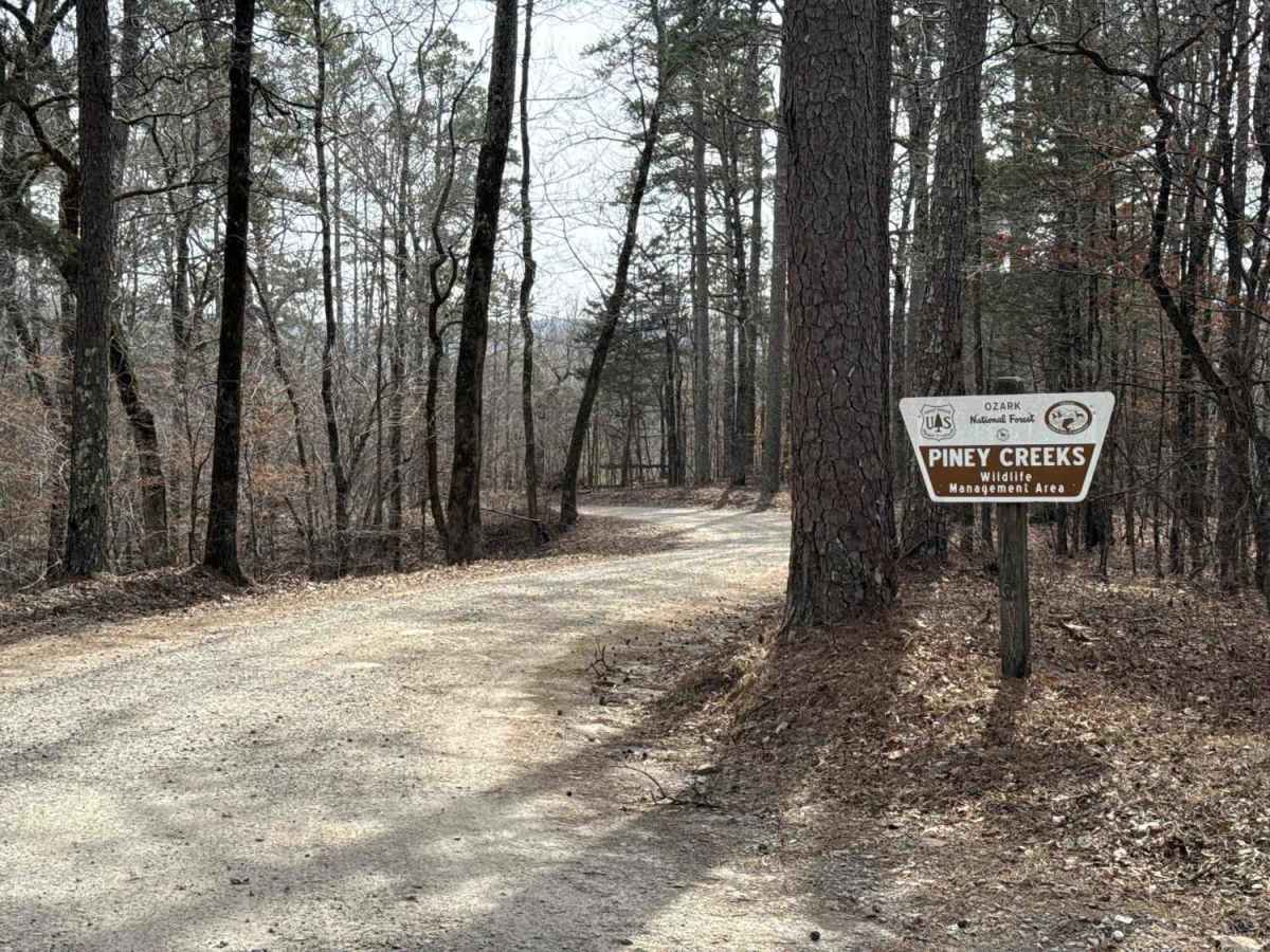 Jakes Creek Road trail photo