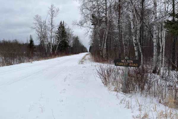 Nelson Forest Road