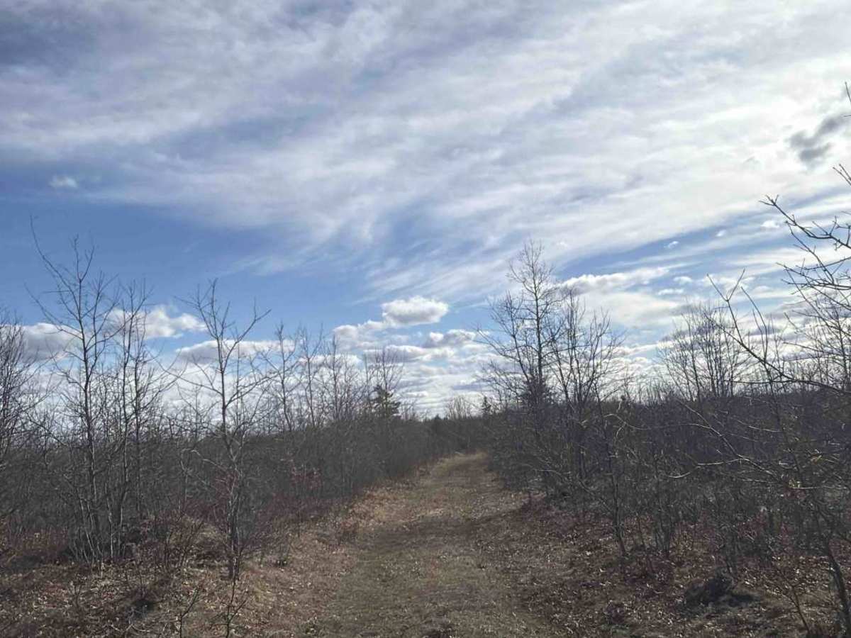 Lewiston Grade Spur photo 6