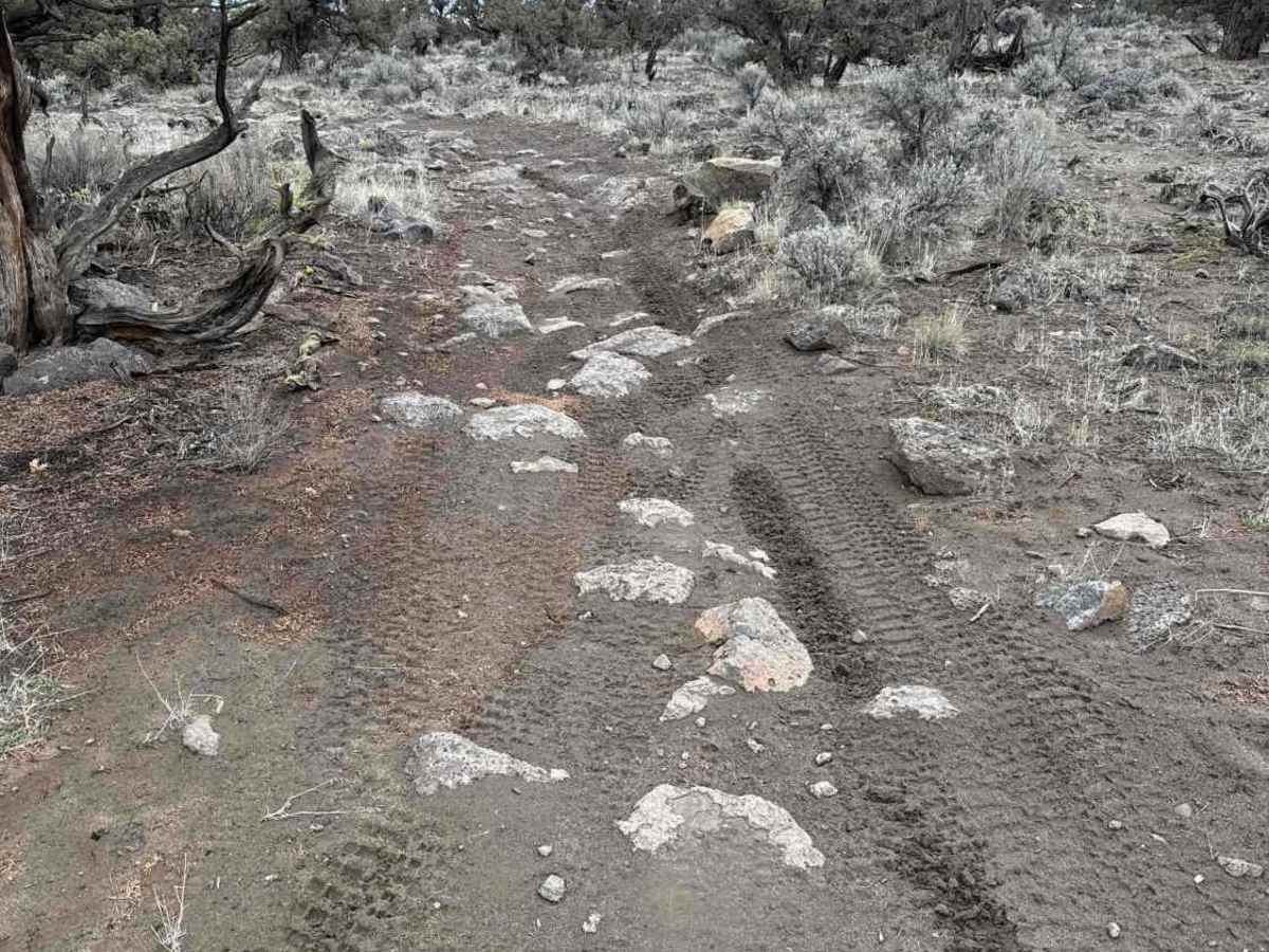 Millican Plateau OHV Trail 83 photo 4
