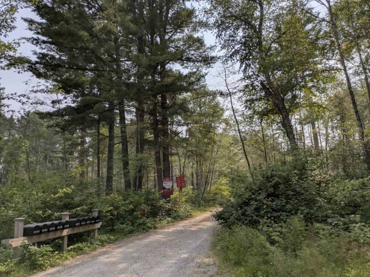 North Arm Road trail photo