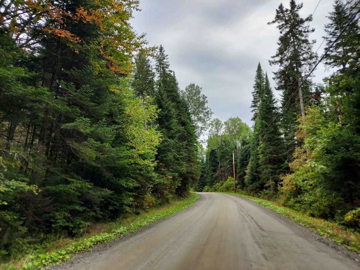 River Road photo 6