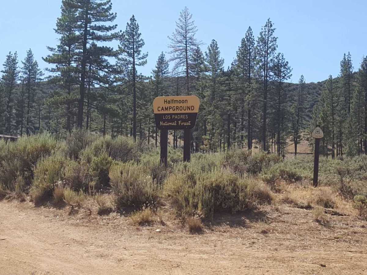 Halfmoon OHV Trail - FS 20W07 photo 3