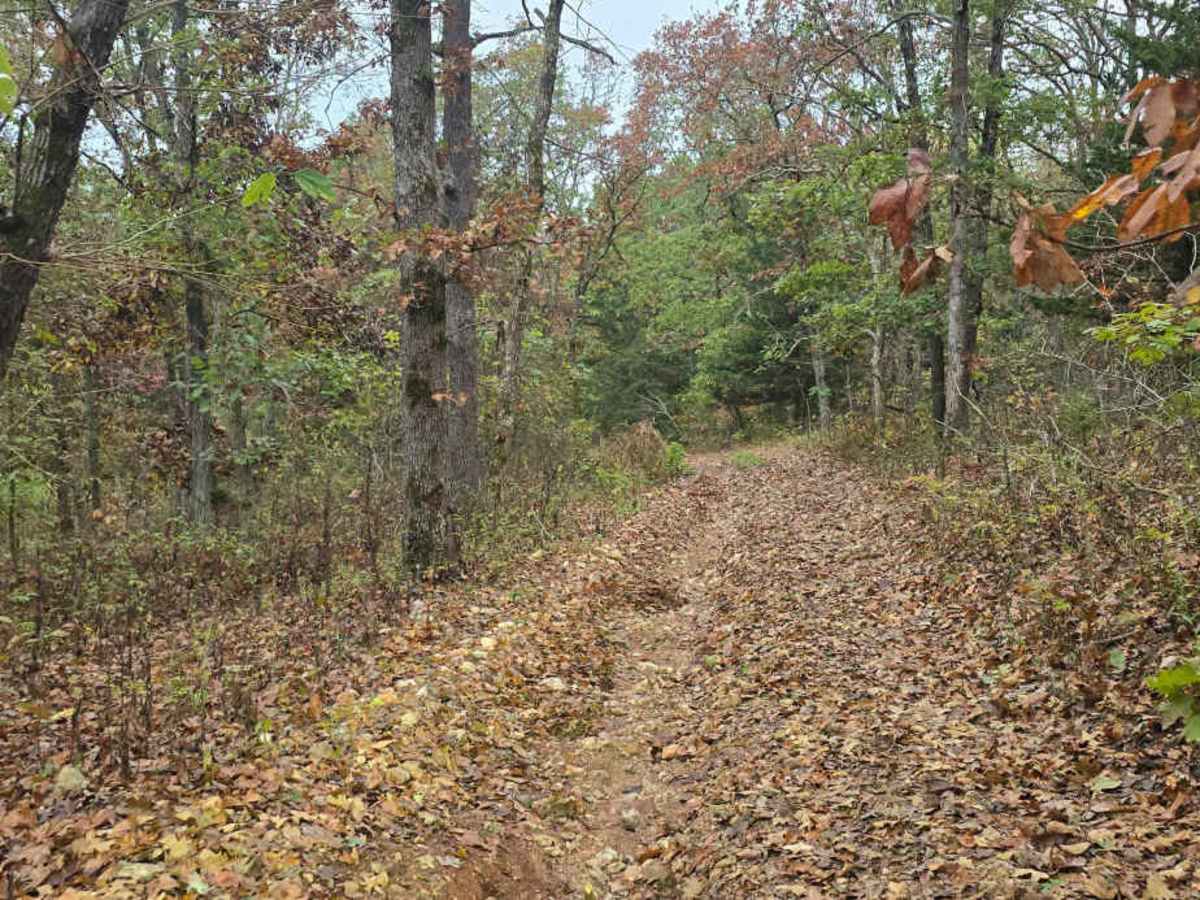 Chimney Trail photo 4