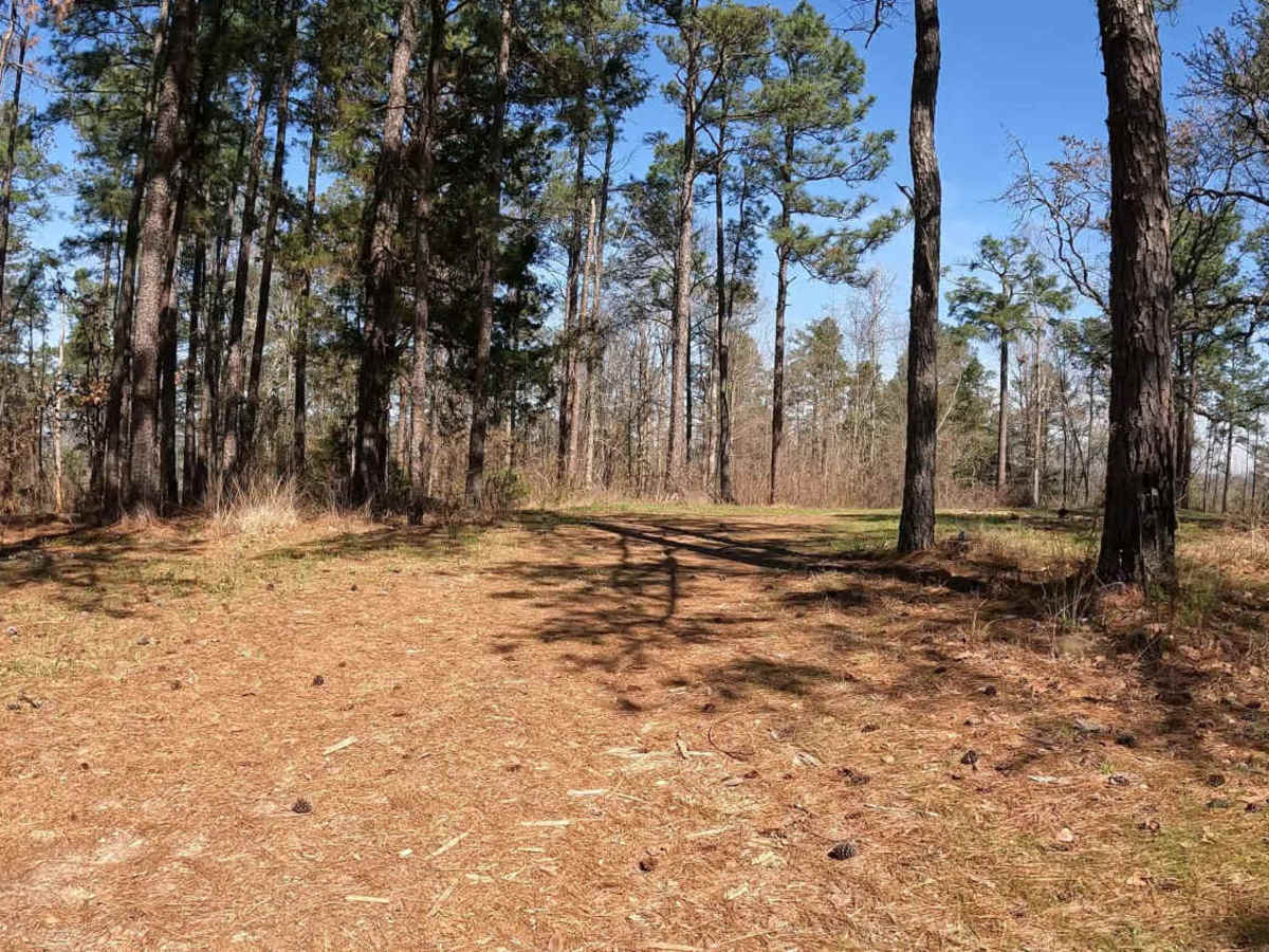 Maud Road - FS 423 photo 3