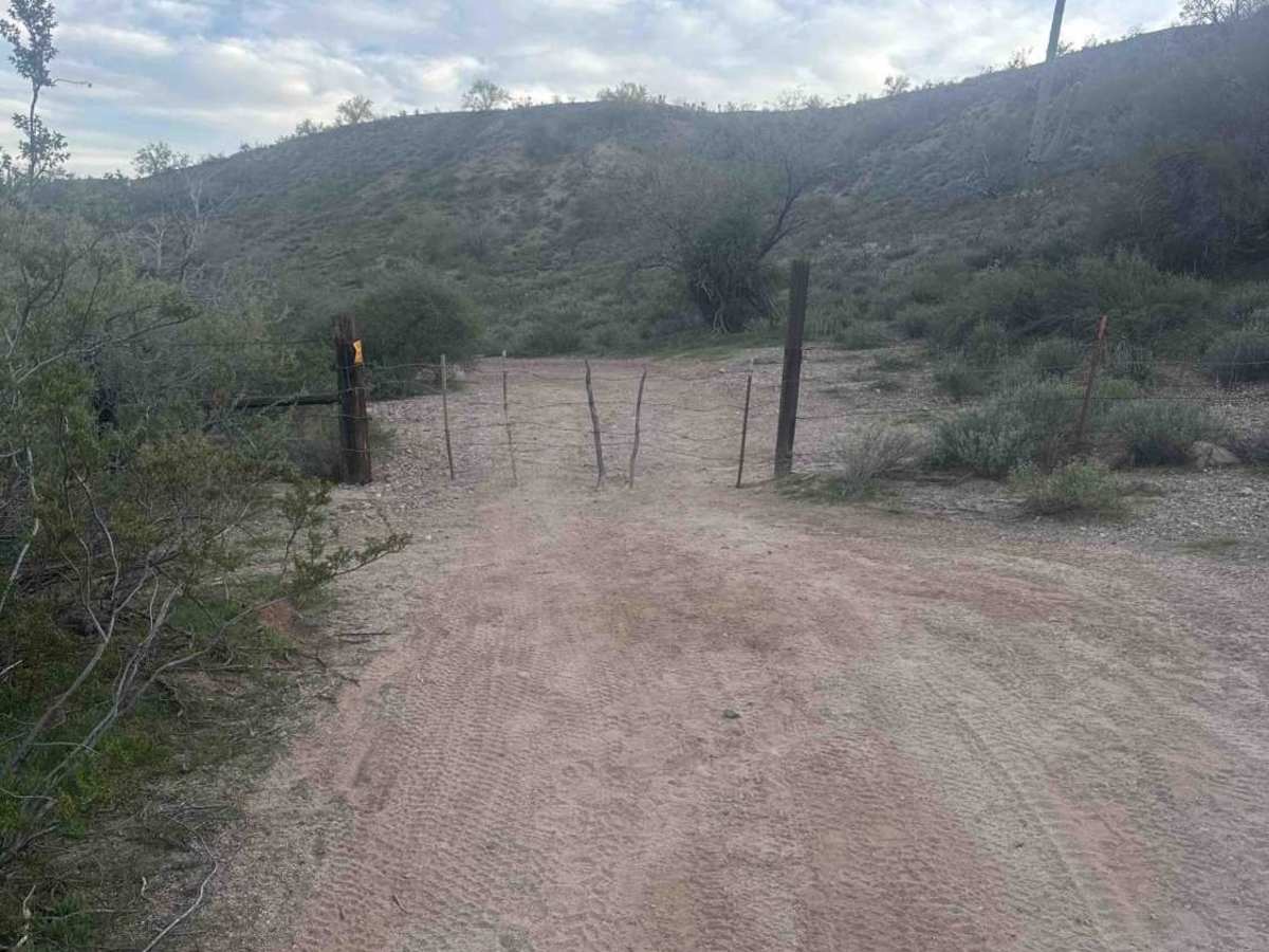Fence Line Drop In  photo 4