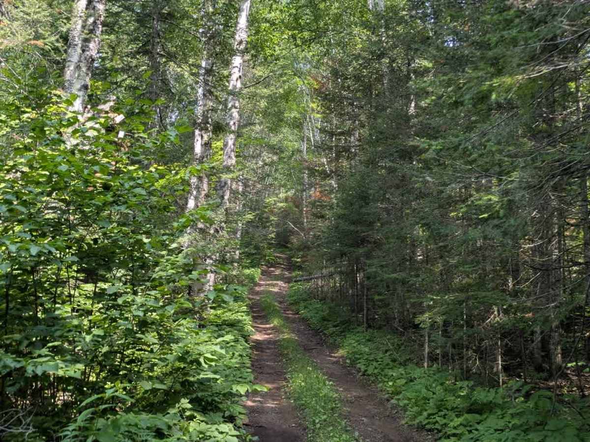 Ward Lake photo 5