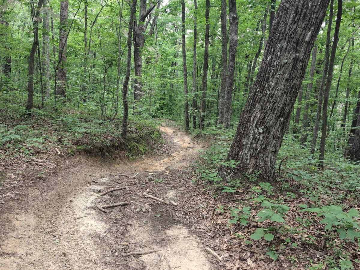 Sheltowee Trace West photo 3