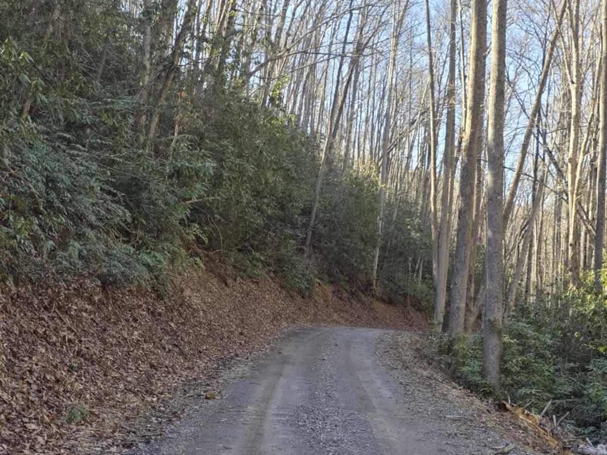 Flat Branch photo 6