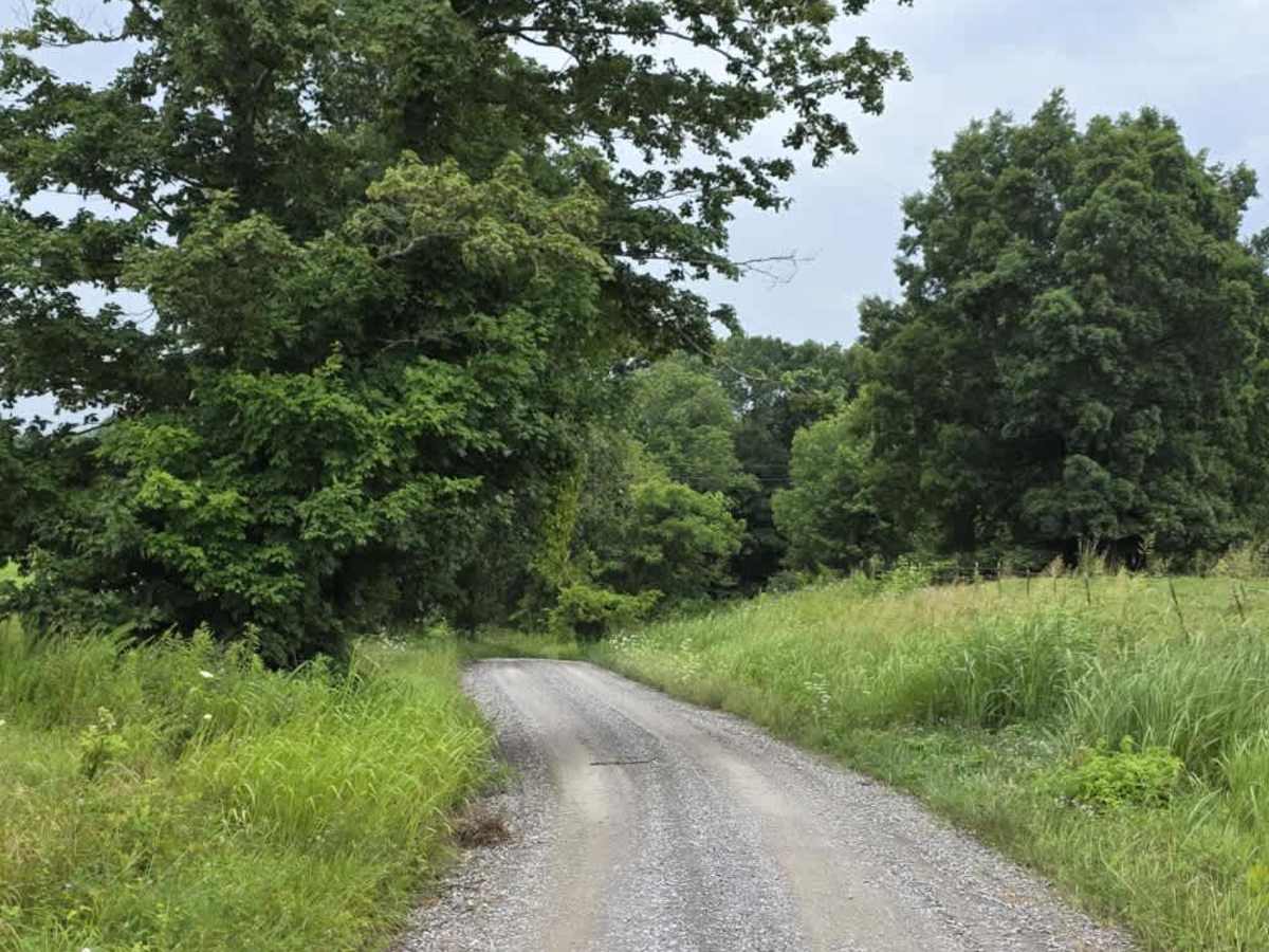 Shockley Hill Road - Macon County Tour photo 2