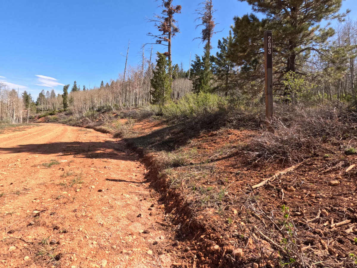 West Rim - FS 30203 photo 3
