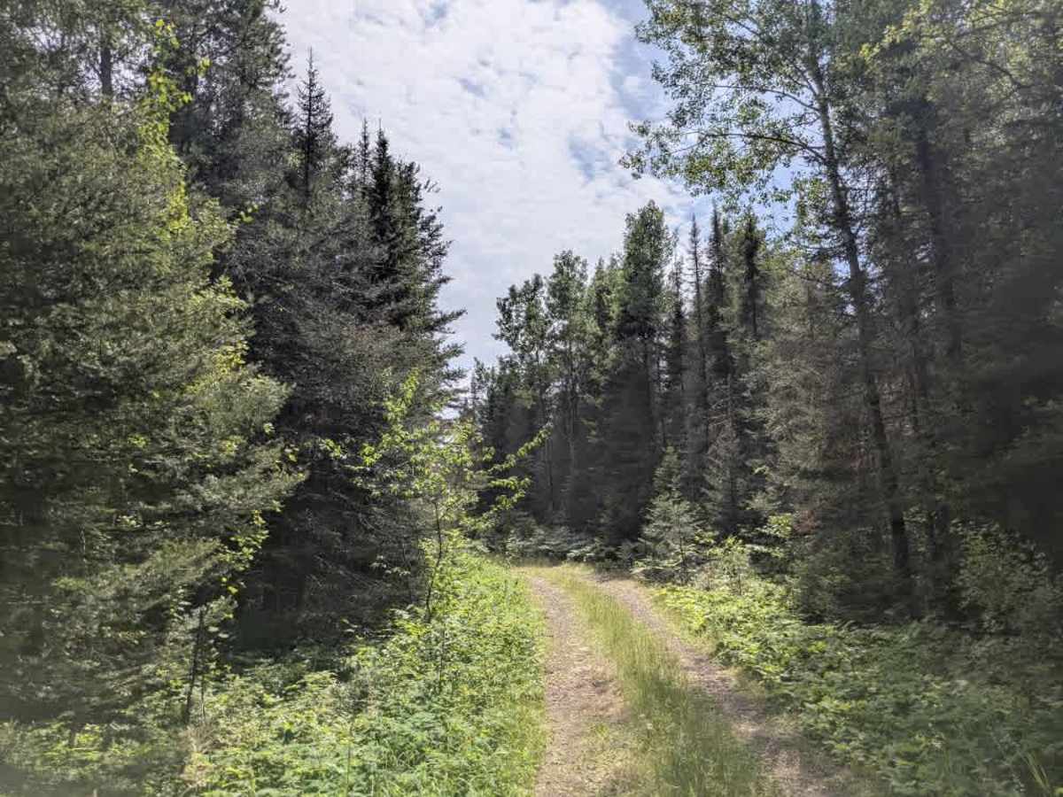 Mud Creek - FS 324 photo 4