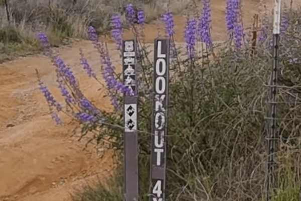Lookout Trail - FS 3414W34
