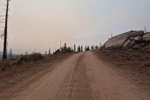 Upper Tamarack Mountain - FS 9s028