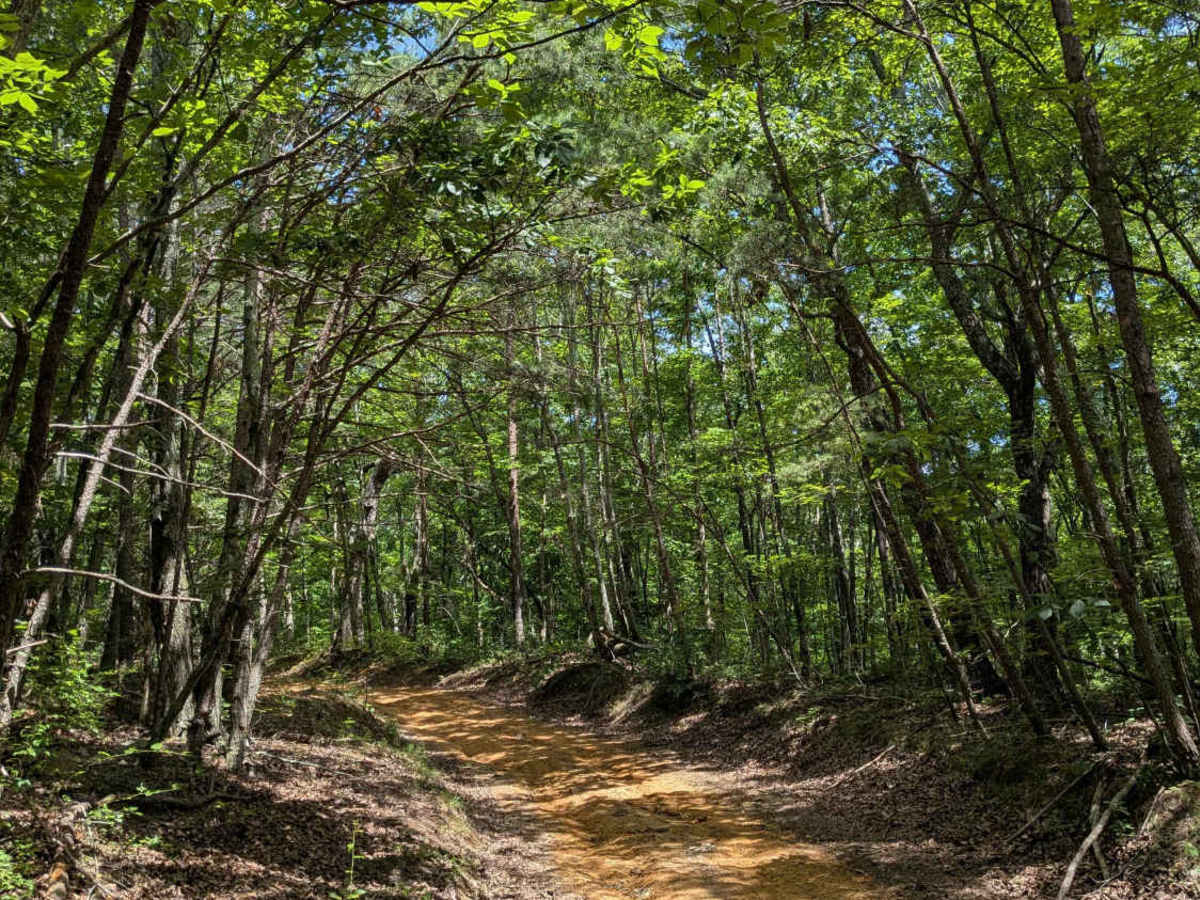 Brown Hollow Road trail photo
