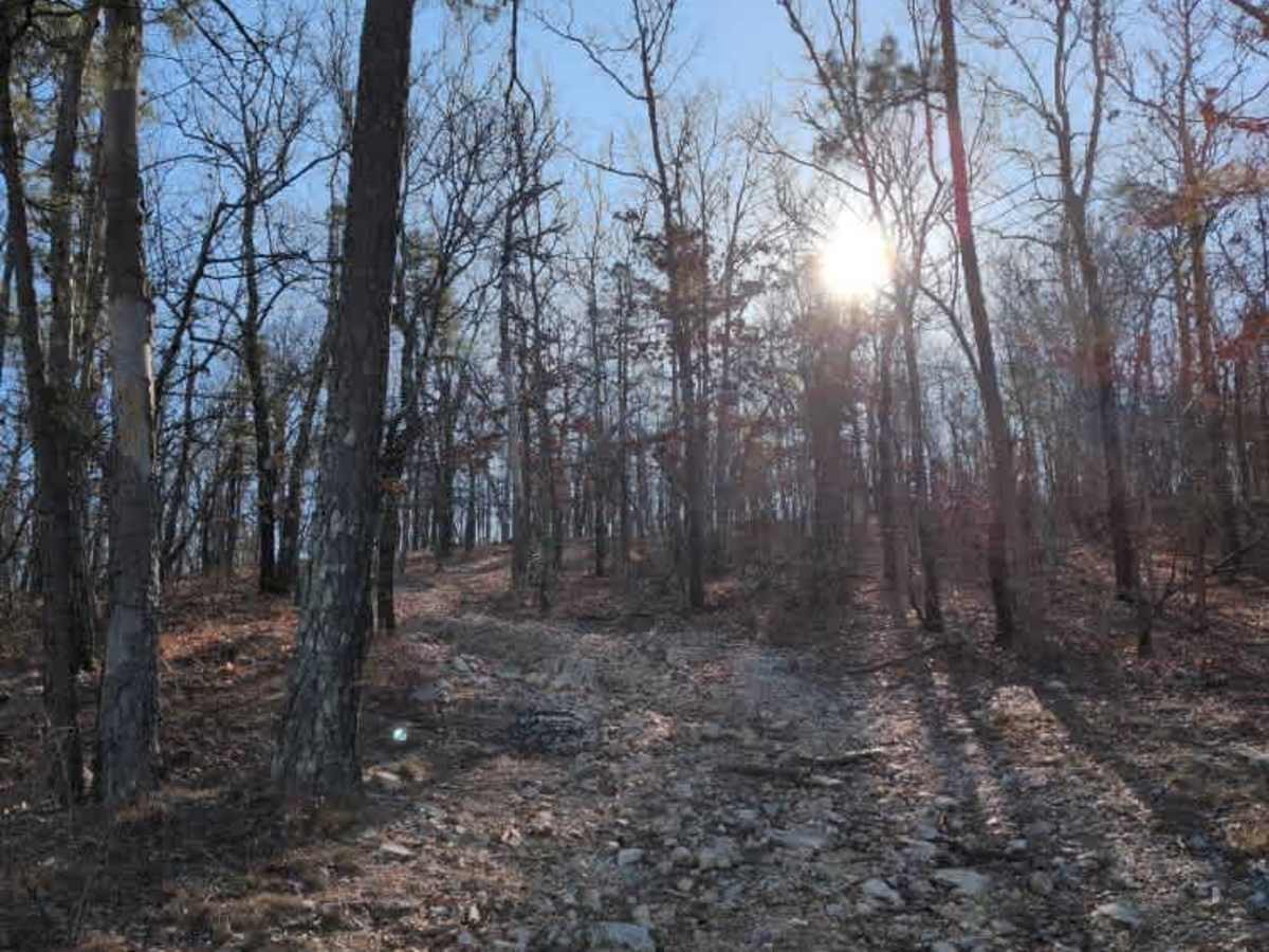 F49 Hard Way Up photo 6