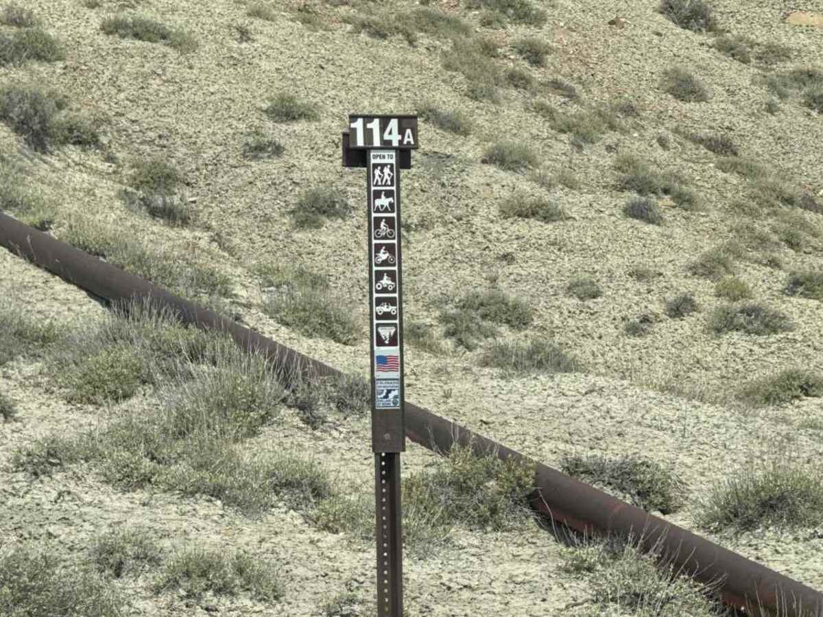 BLM 114A photo 5