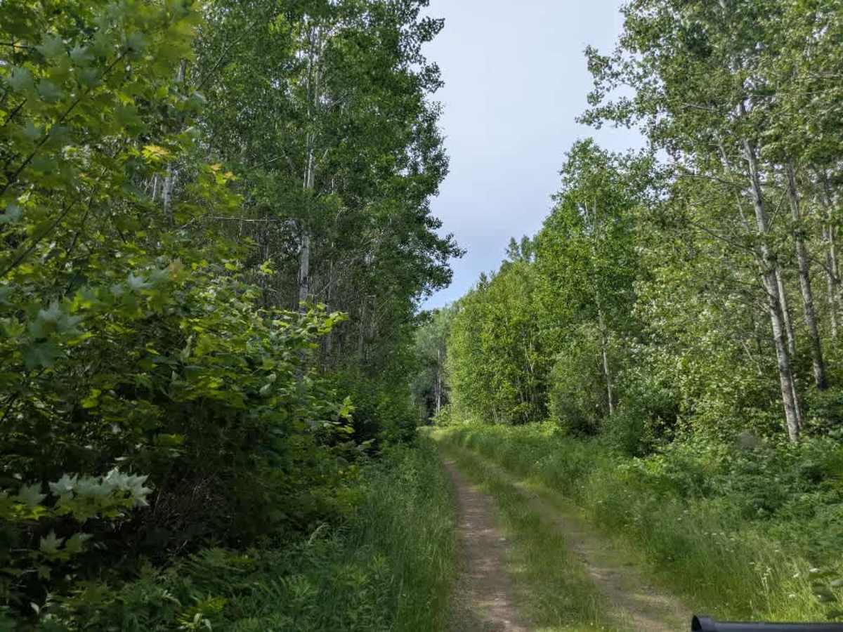 Pequaywan/Brimson Trail photo 2